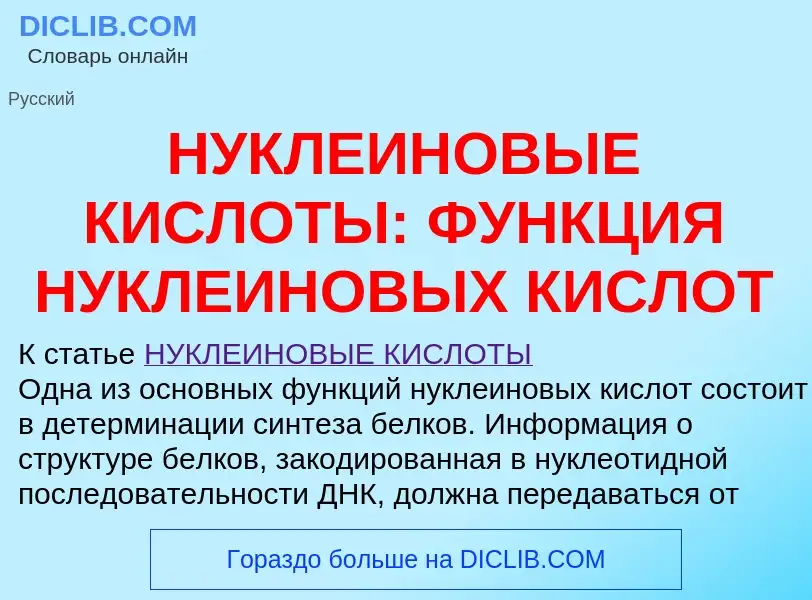 Что такое НУКЛЕИНОВЫЕ КИСЛОТЫ: ФУНКЦИЯ НУКЛЕИНОВЫХ КИСЛОТ - определение