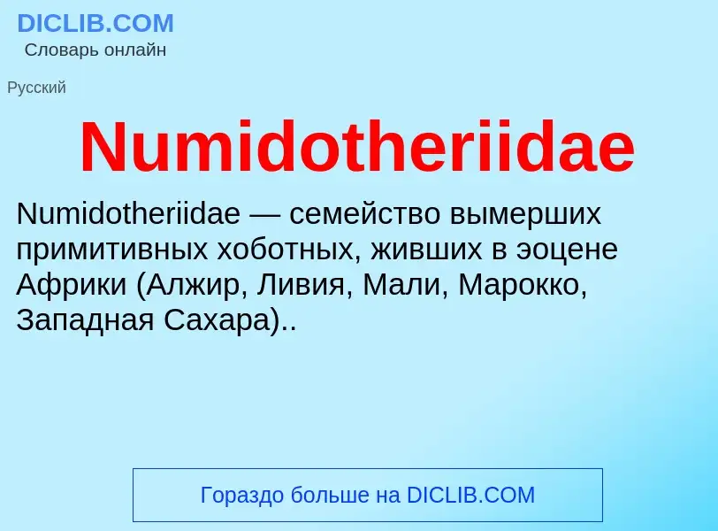 Was ist Numidotheriidae - Definition