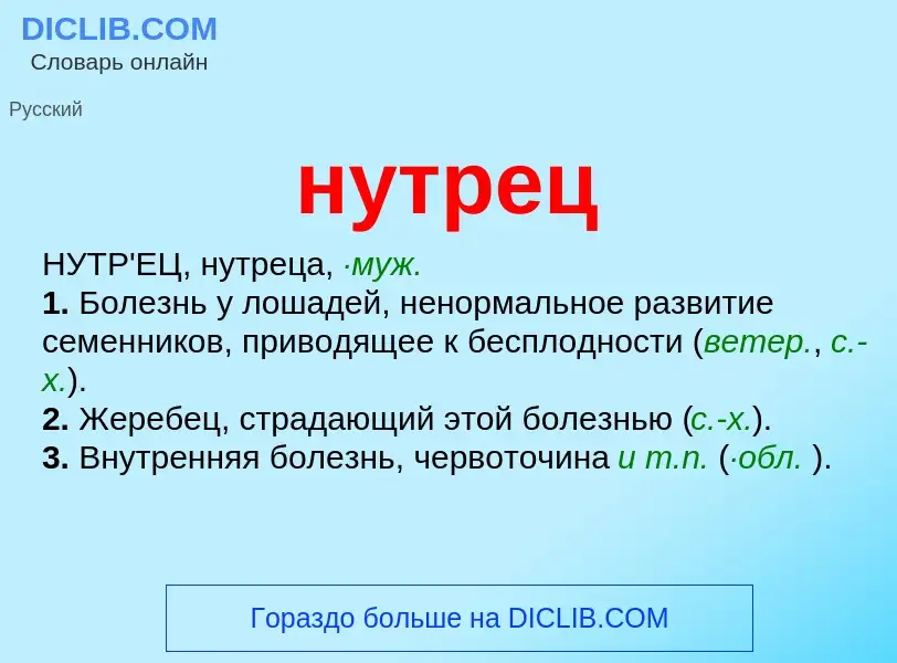 Wat is нутрец - definition