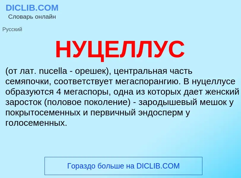 What is НУЦЕЛЛУС - meaning and definition