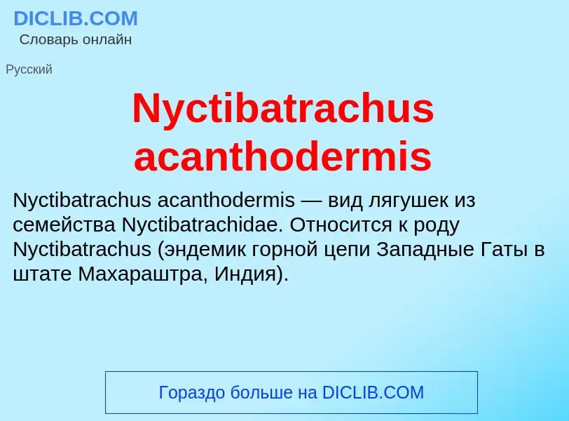 Что такое Nyctibatrachus acanthodermis - определение