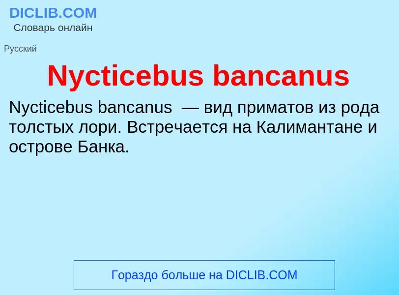 Τι είναι Nycticebus bancanus - ορισμός