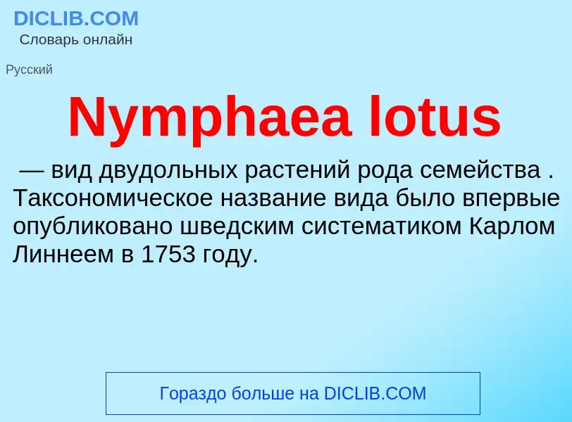 Τι είναι Nymphaea lotus - ορισμός