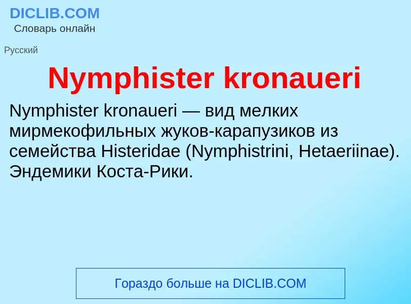 Что такое Nymphister kronaueri - определение