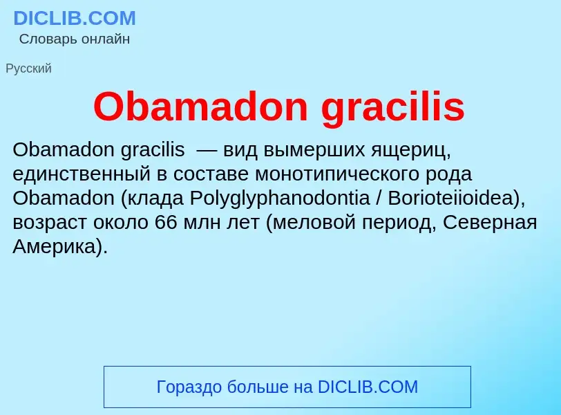 Che cos'è Obamadon gracilis - definizione