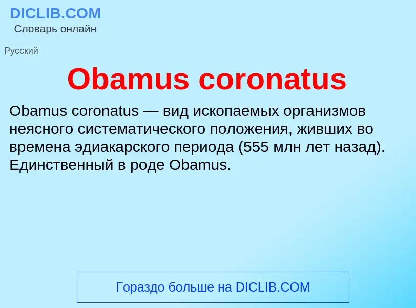 Che cos'è Obamus coronatus - definizione