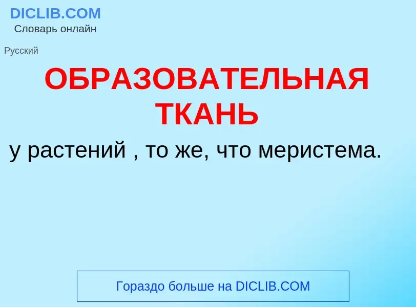 Τι είναι ОБРАЗОВАТЕЛЬНАЯ ТКАНЬ - ορισμός