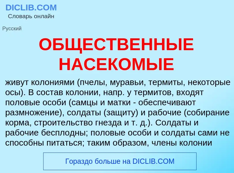 Τι είναι ОБЩЕСТВЕННЫЕ НАСЕКОМЫЕ - ορισμός