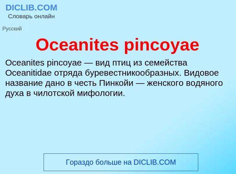 Was ist Oceanites pincoyae - Definition