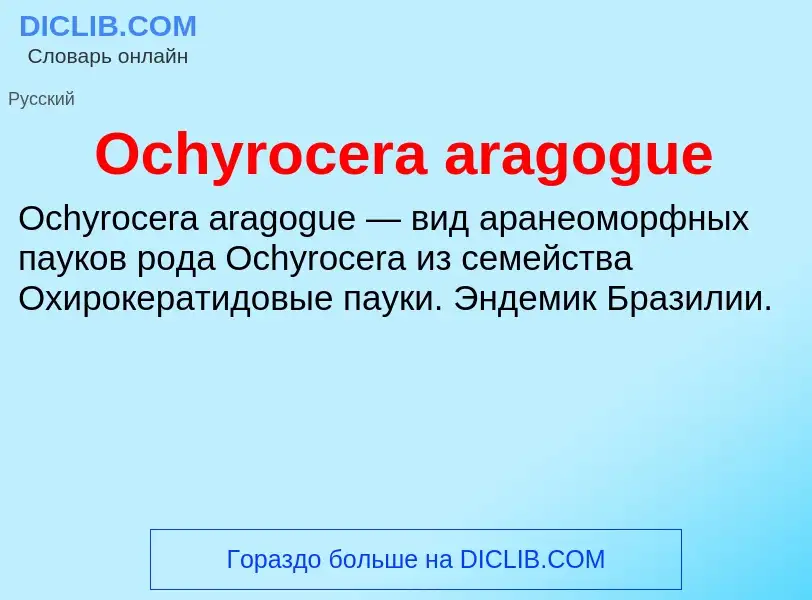 Τι είναι Ochyrocera aragogue - ορισμός