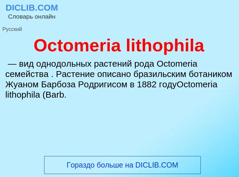 Τι είναι Octomeria lithophila - ορισμός