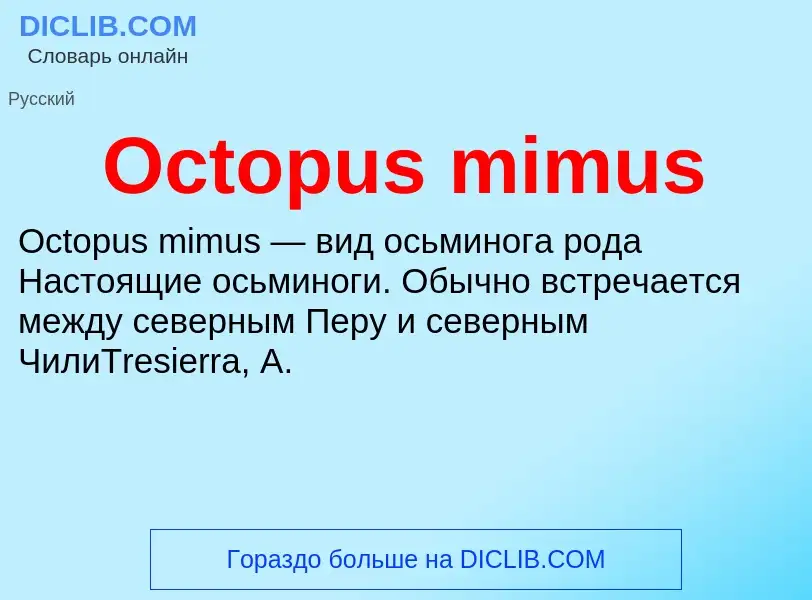 Что такое Octopus mimus - определение