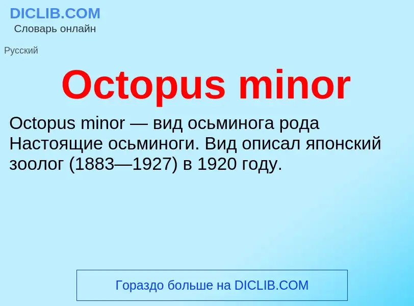 Τι είναι Octopus minor - ορισμός