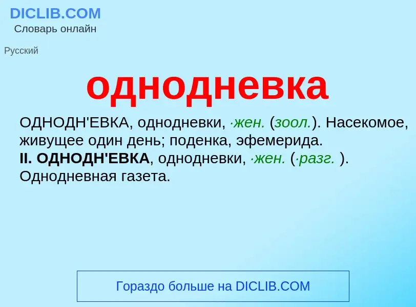 Что такое однодневка - определение