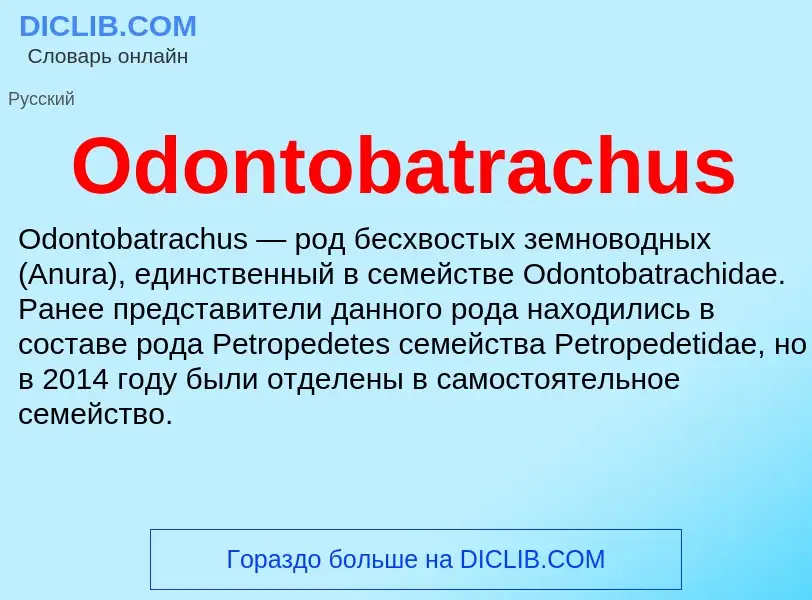 Τι είναι Odontobatrachus - ορισμός