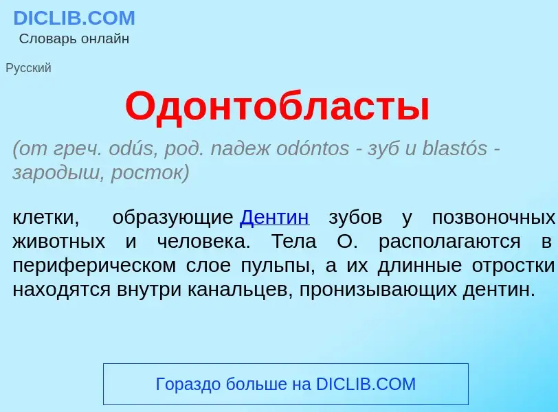 Что такое Одонтобл<font color="red">а</font>сты - определение