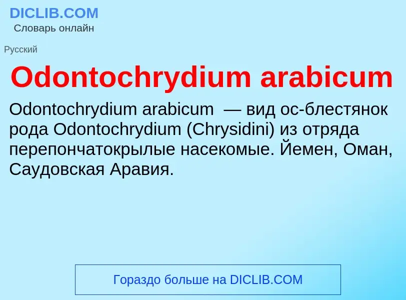 Τι είναι Odontochrydium arabicum - ορισμός