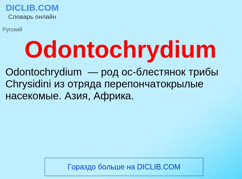 Τι είναι Odontochrydium - ορισμός