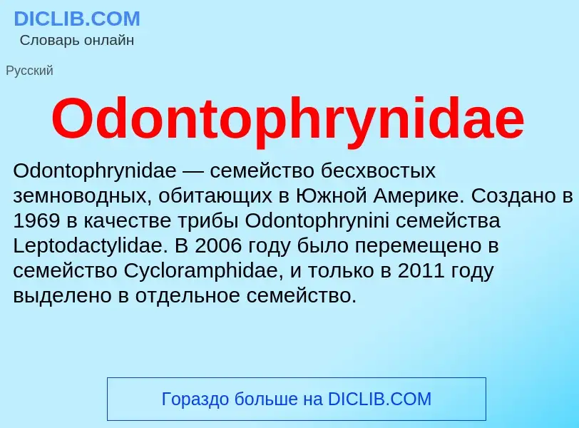 Τι είναι Odontophrynidae - ορισμός