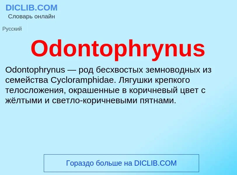 Что такое Odontophrynus - определение