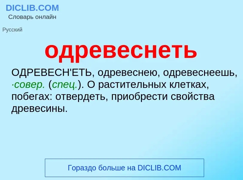 Wat is одревеснеть - definition