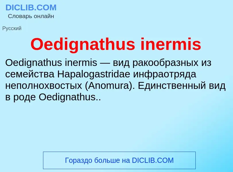 Τι είναι Oedignathus inermis - ορισμός