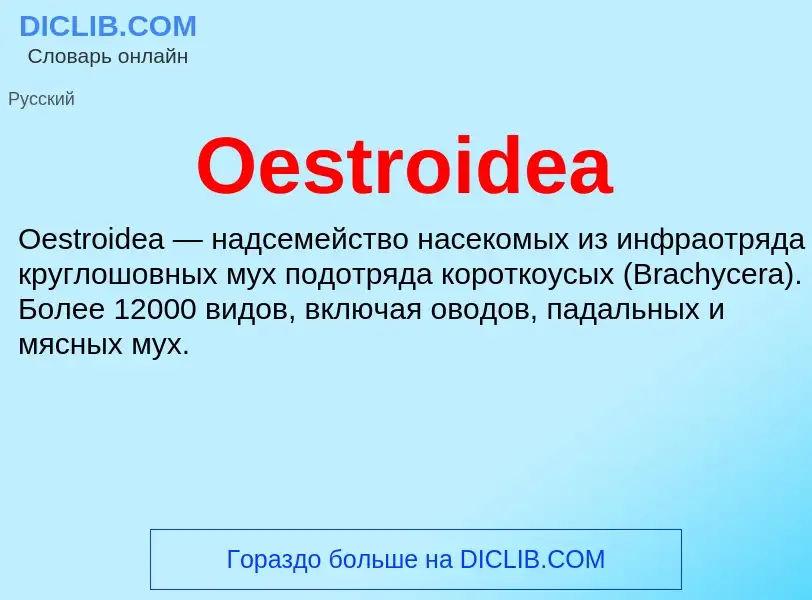 Was ist Oestroidea - Definition