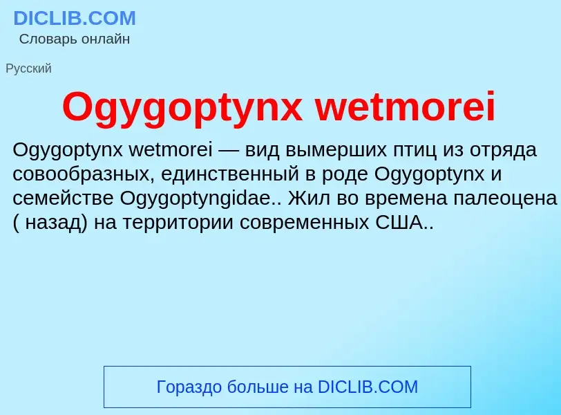 Wat is Ogygoptynx wetmorei - definition