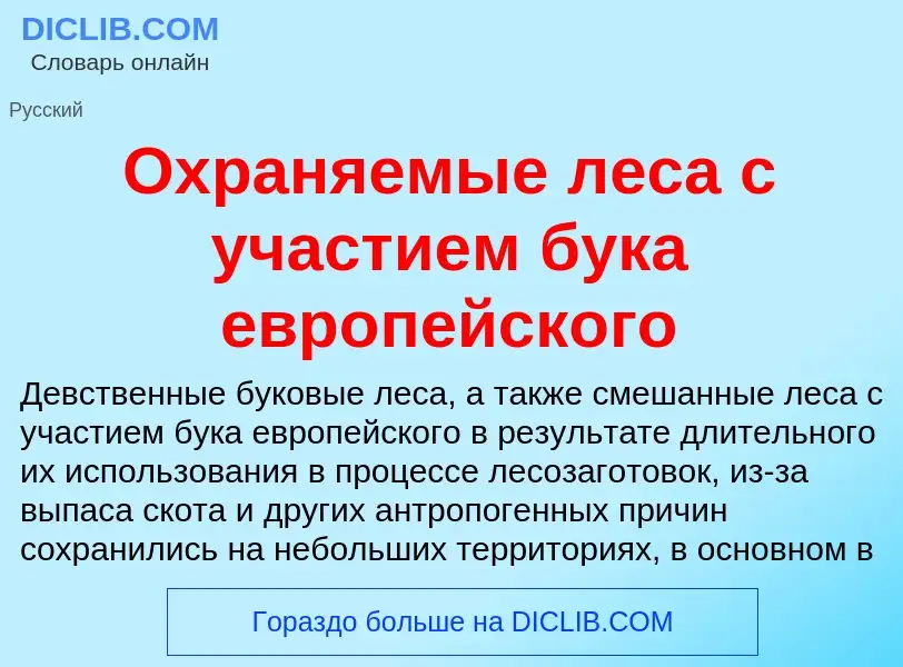 O que é Охраняемые леса с участием бука европейского - definição, significado, conceito