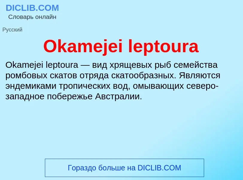 Что такое Okamejei leptoura - определение