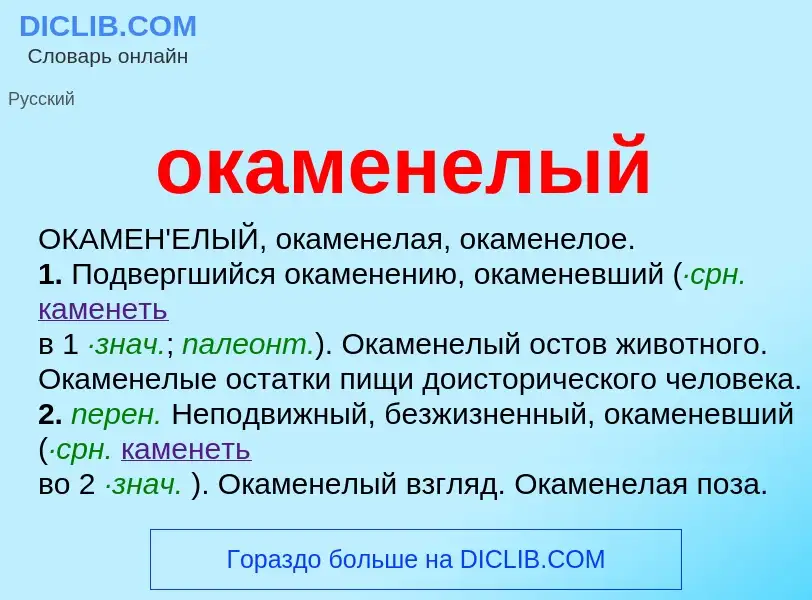 Что такое окаменелый - определение