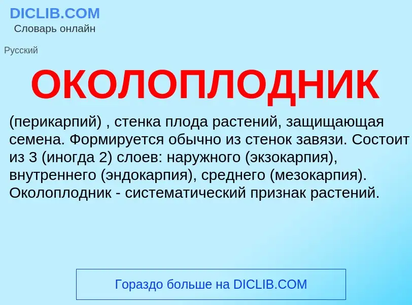O que é ОКОЛОПЛОДНИК - definição, significado, conceito