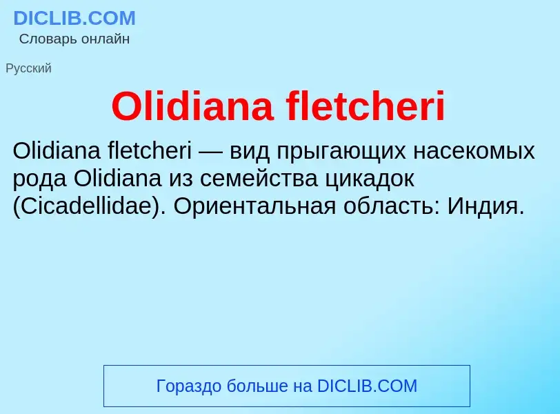 Wat is Olidiana fletcheri - definition