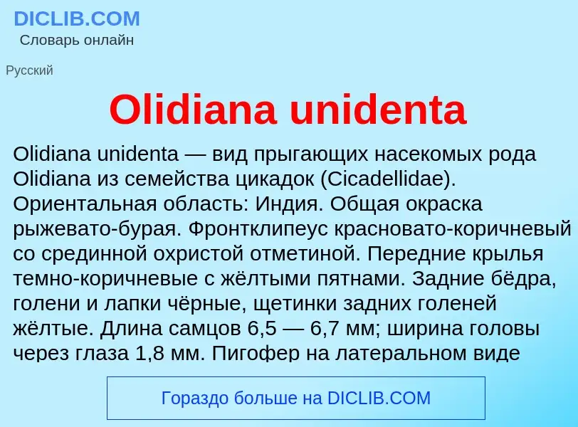 Wat is Olidiana unidenta - definition