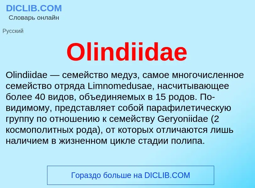 Wat is Olindiidae - definition