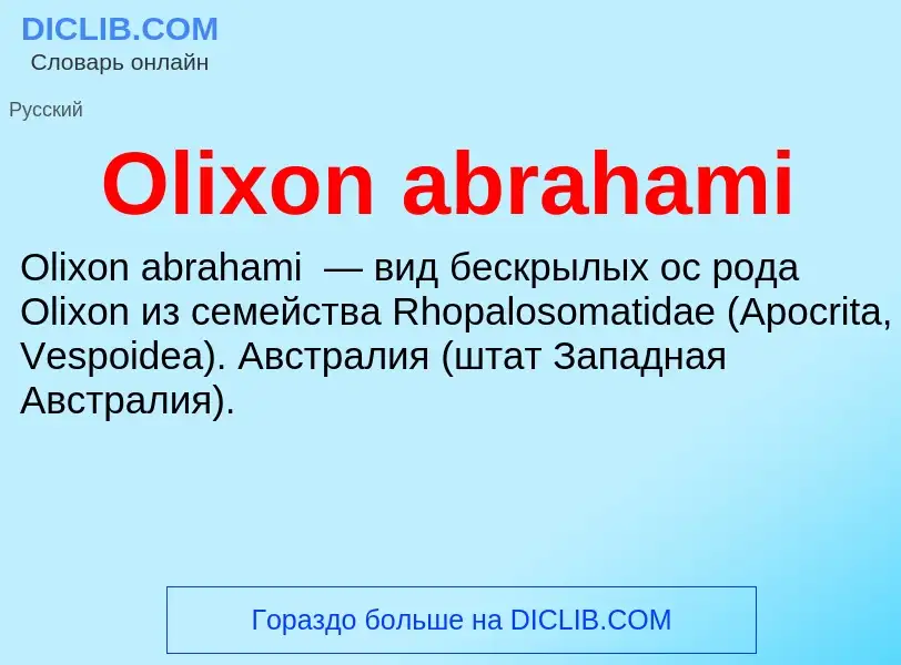 Wat is Olixon abrahami - definition