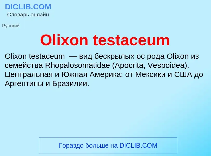 Wat is Olixon testaceum - definition