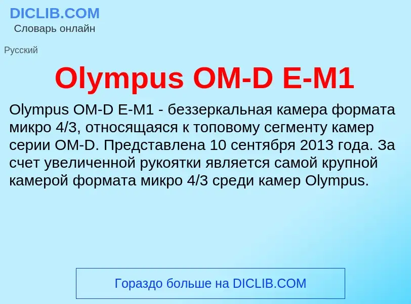 Wat is Olympus OM-D E-M1 - definition