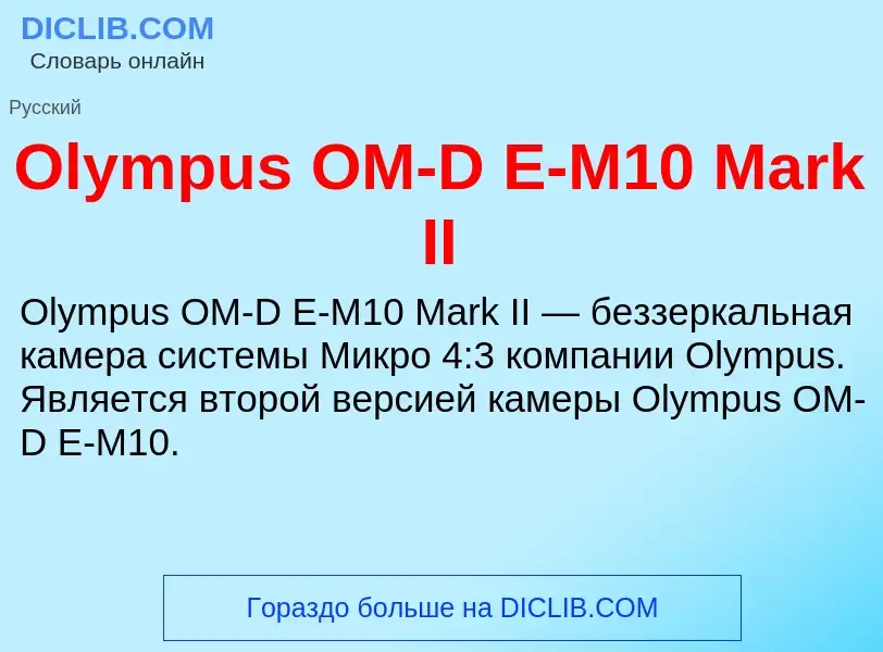 Wat is Olympus OM-D E-M10 Mark II - definition