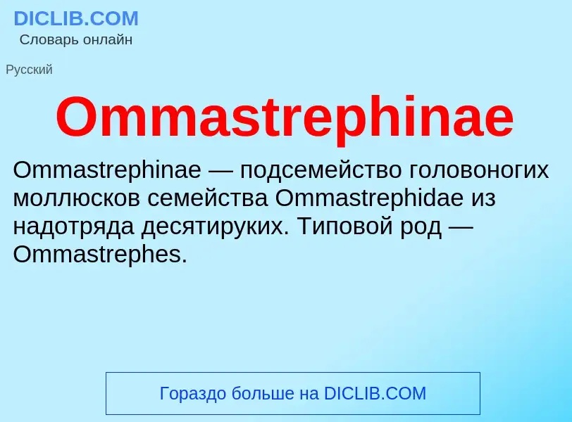 Wat is Ommastrephinae - definition