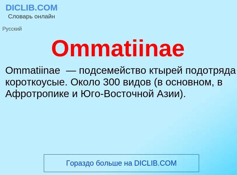 Wat is Ommatiinae - definition