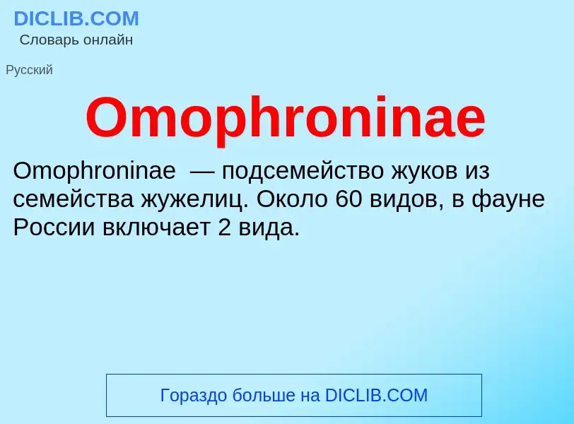 Wat is Omophroninae - definition