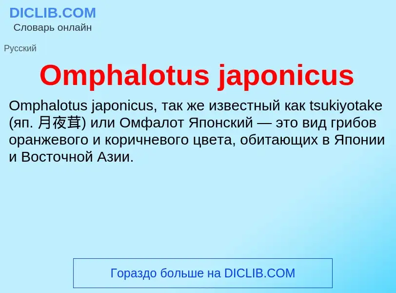 Wat is Omphalotus japonicus - definition