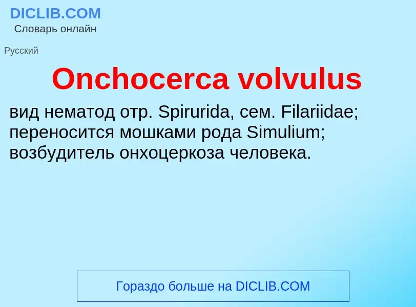 Что такое Onchocerca volvulus - определение