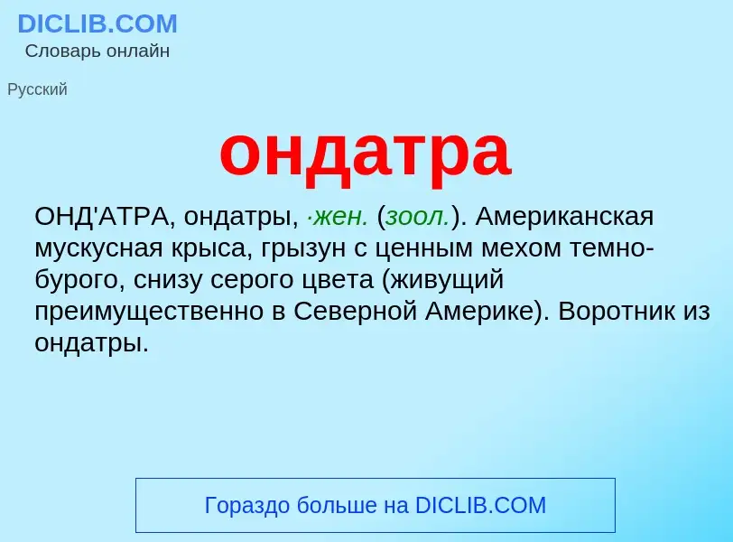 What is ондатра - meaning and definition