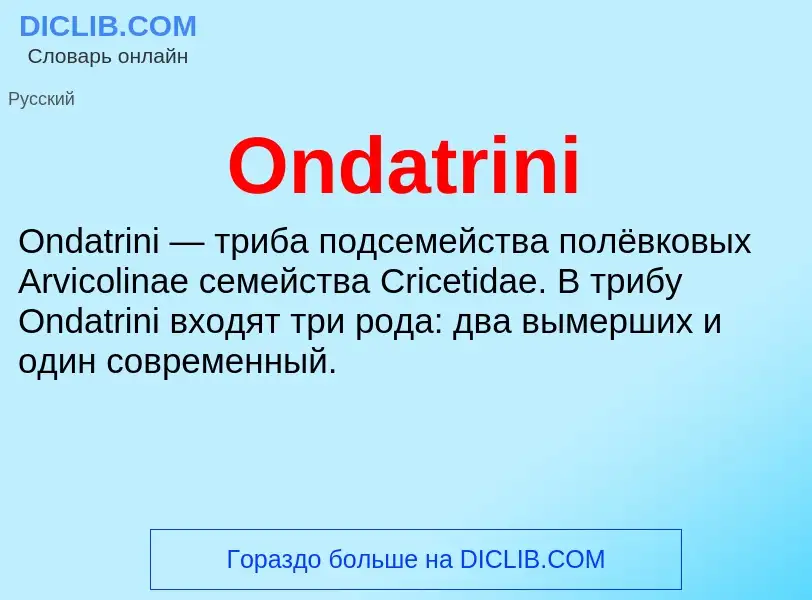 Что такое Ondatrini - определение