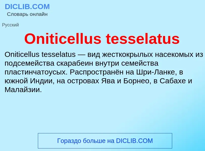 Wat is Oniticellus tesselatus - definition