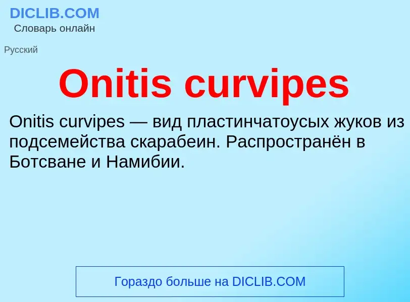 Что такое Onitis curvipes - определение