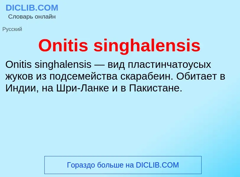 Wat is Onitis singhalensis - definition