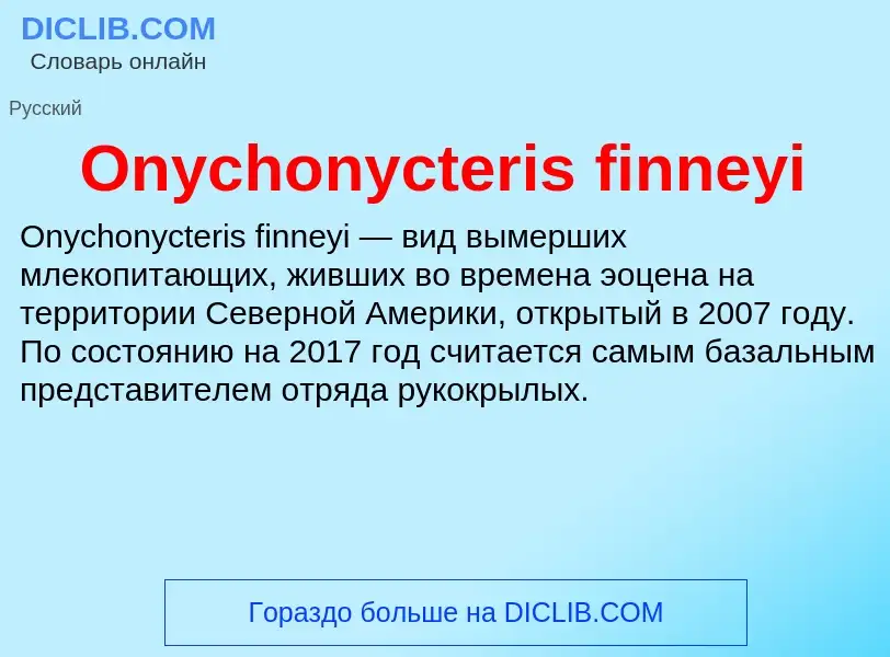 Wat is Onychonycteris finneyi - definition